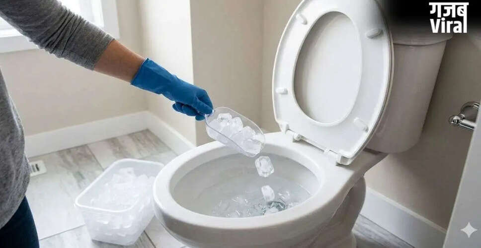 टॉयलेट सीट की सफाई के लिए बर्फ का अनोखा हैक