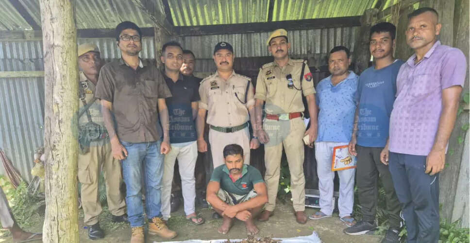 बिजनी में जंगली हाथी और बाघ के अंगों के साथ एक व्यक्ति गिरफ्तार