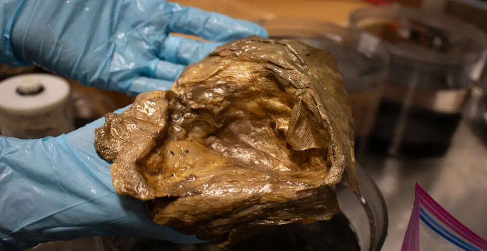 अलास्का की गहराइयों में मिला रहस्यमय 'सोने का गोला'