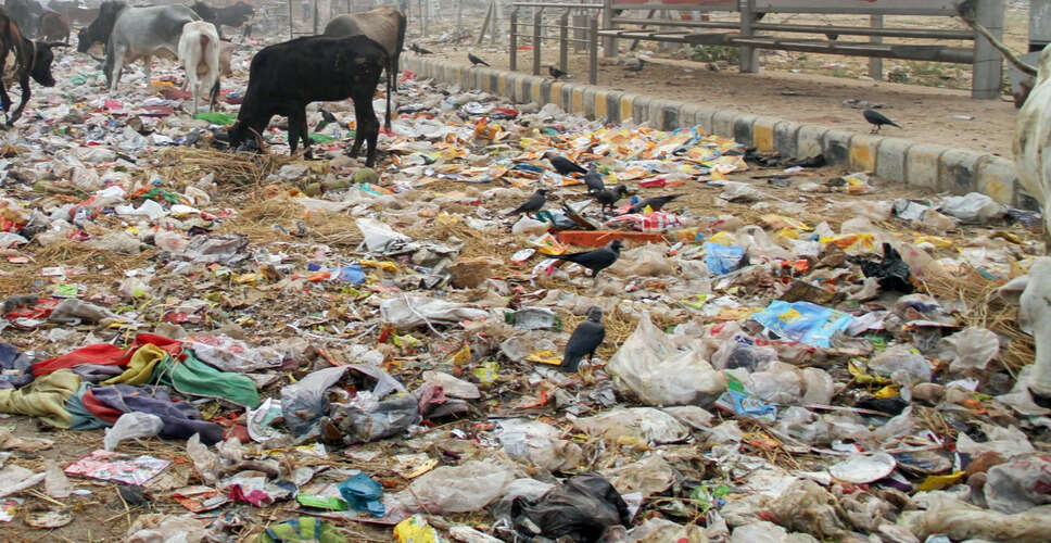 मुंबई में बुजुर्ग महिला को कूड़े में फेंकने का मामला, तीन गिरफ्तार