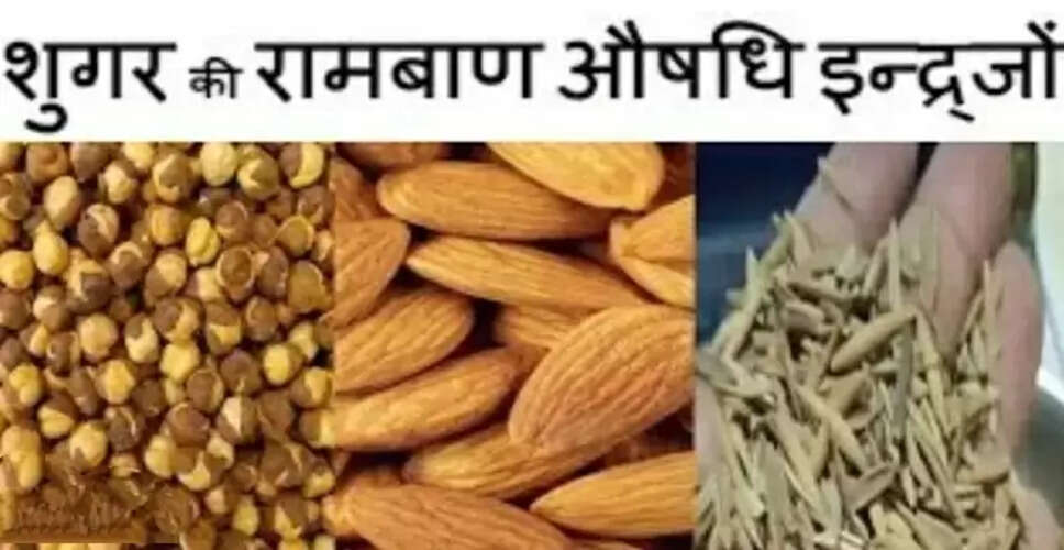 शुगर के लिए अद्भुत योग: इन्द्रजौ और अन्य औषधियों का मिश्रण