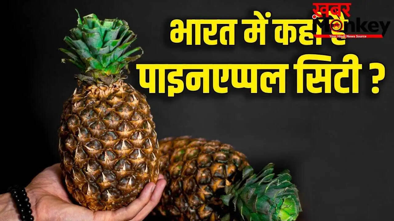 वाझकुलम: अनानास का गढ़ और इसकी सफलता के कारण