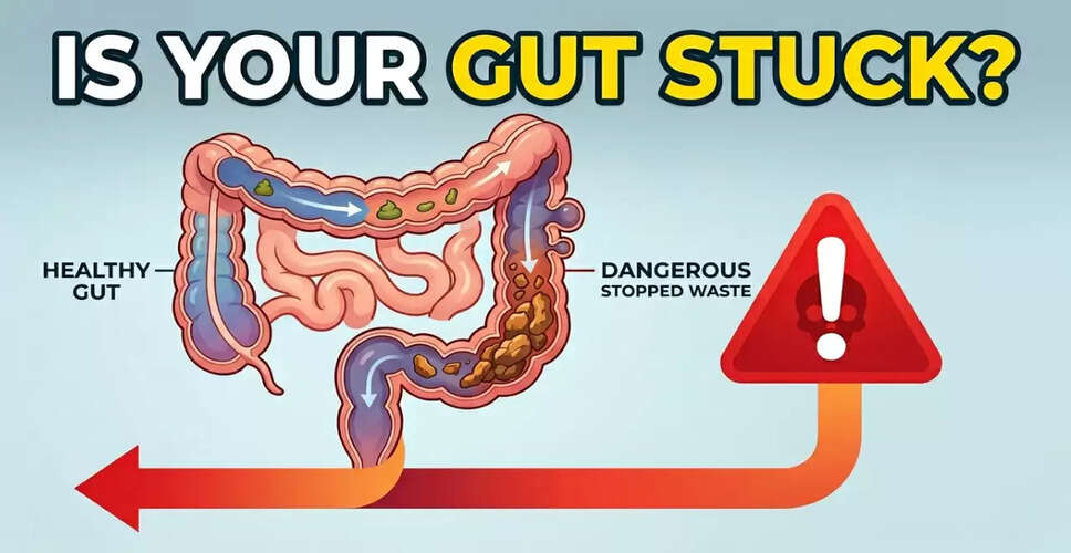 आपकी आंतों की सेहत: कब और कैसे होता है पाचन?