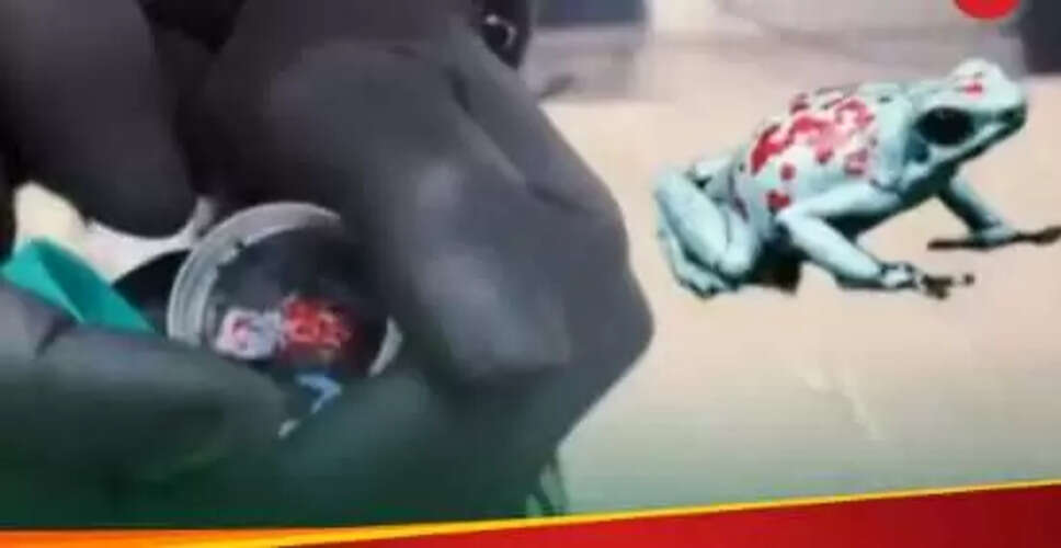 महिला के बैग में मिले 130 जहरीले मेंढक, तस्करी का आरोप