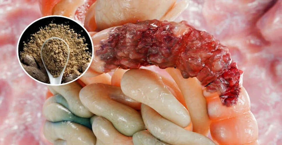 पेट की समस्याओं से राहत पाने के 10 प्रभावी उपाय