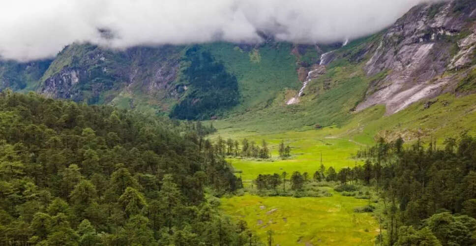 भारत में वन भूमि के विविधीकरण की बढ़ती प्रवृत्ति