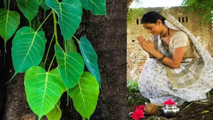 शनिवार के दिन शनिदेव को प्रसन्न करने के 5 प्रभावी उपाय