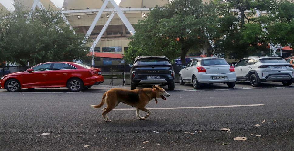 सुप्रीम कोर्ट का आदेश: आवारा कुत्तों को शैक्षणिक और सार्वजनिक स्थलों से हटाने का निर्देश