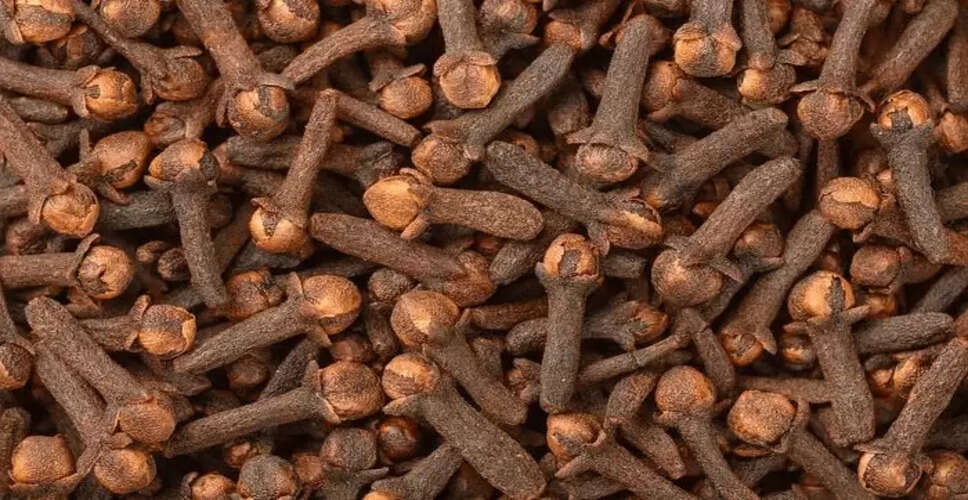 लौंग के सेवन के फायदे और नुकसान: जानें सही मात्रा