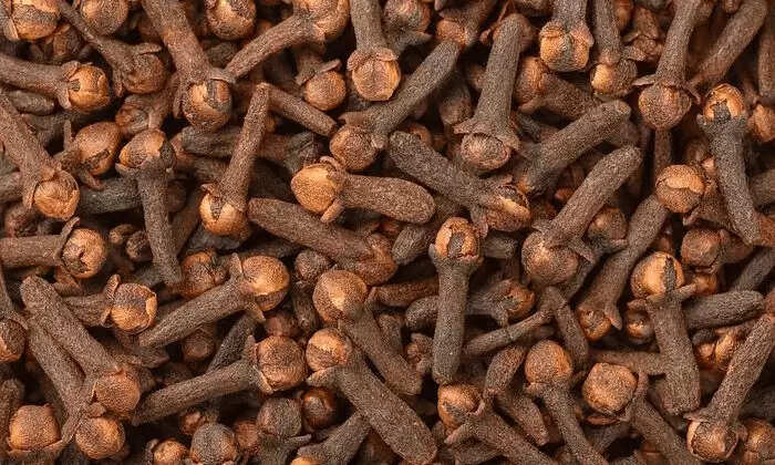 लौंग के सेवन के फायदे और नुकसान: जानें सही मात्रा