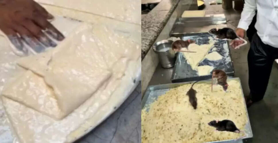 लखनऊ में मलाई मक्खन पर चूहा: सोशल मीडिया पर मचा हंगामा