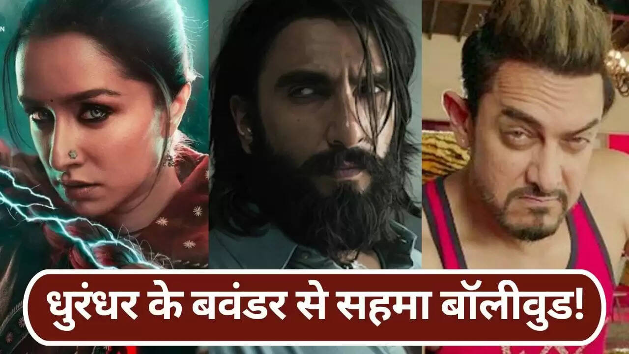 धुरंधर फिल्म ने 17 दिन में 800 करोड़ का आंकड़ा पार किया