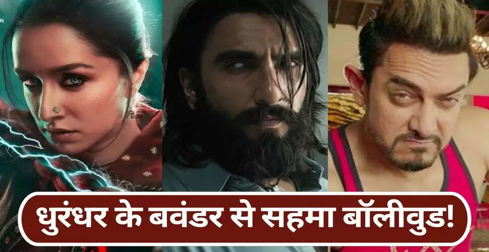 धुरंधर फिल्म ने 17 दिन में 800 करोड़ का आंकड़ा पार किया