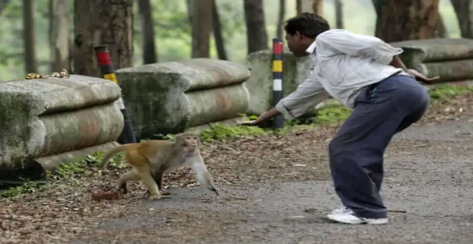 शनिवार के दिन शनिदेव को प्रसन्न करने के उपाय