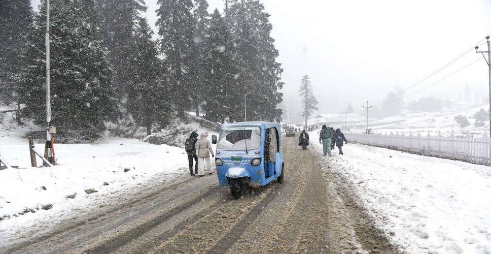 उत्तर भारत में ठंड और कोहरे का कहर: मौसम विभाग ने जारी किया अलर्ट