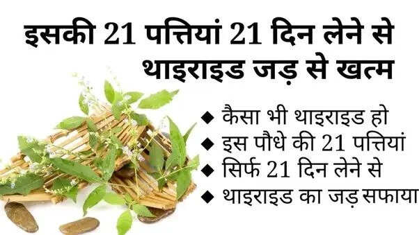 थायराइड की समस्या: घरेलू उपचार और सावधानियाँ