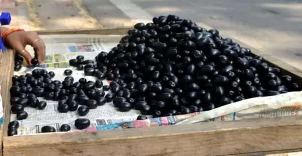 गर्मियों का तोहफा जामुन, स्वाद और सेहत का बेजोड़ संगम!