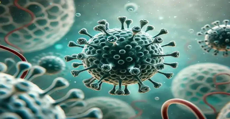 भारत में एचएमपीवी संक्रमण: लक्षण, परीक्षण और उपचार की जानकारी