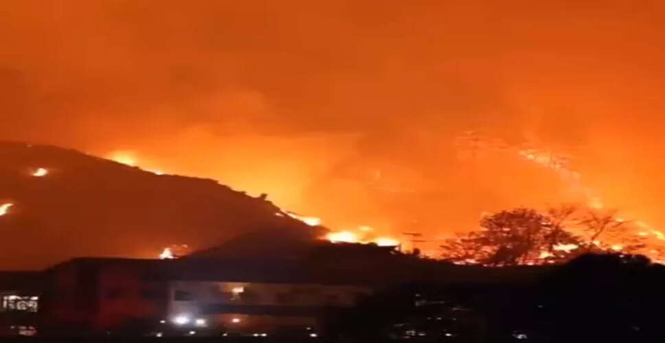 जापान में जंगल की आग से बढ़ता खतरा, 1200 हेक्टेयर क्षेत्र प्रभावित