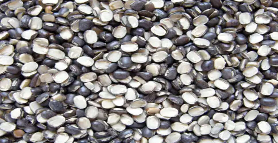 उड़द दाल के अद्भुत स्वास्थ्य लाभ