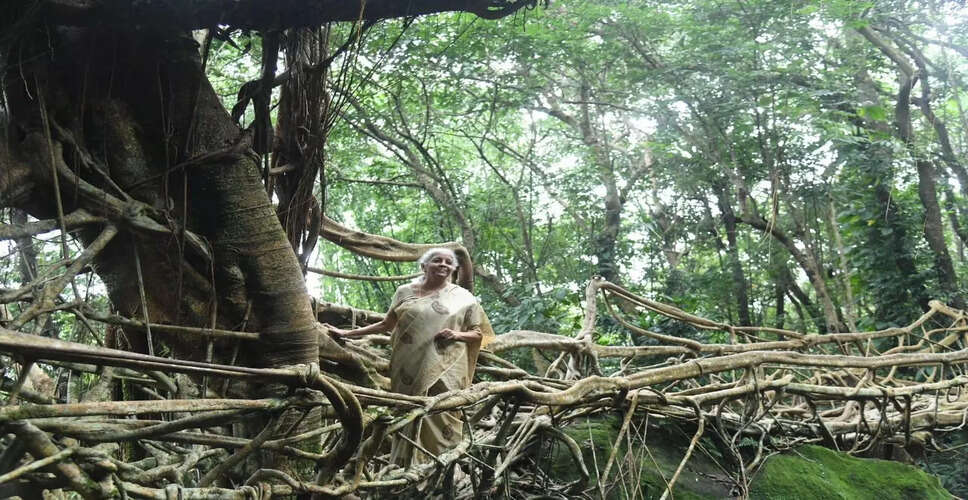 मेघालय में वित्त मंत्री ने जीवित जड़ पुलों की सराहना की