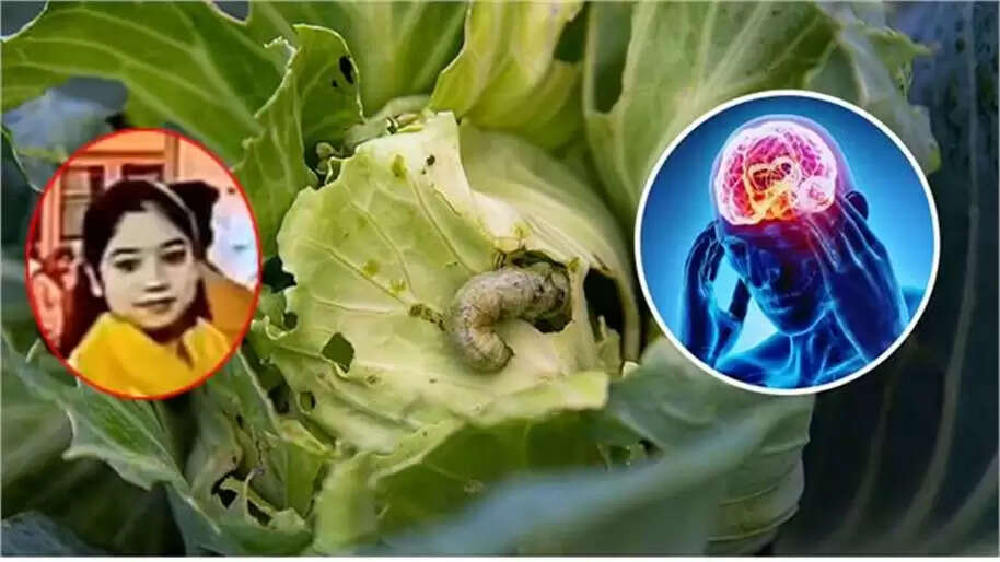 17 वर्षीय छात्रा की मौत: संक्रमित पत्ता गोभी से फैला संक्रमण