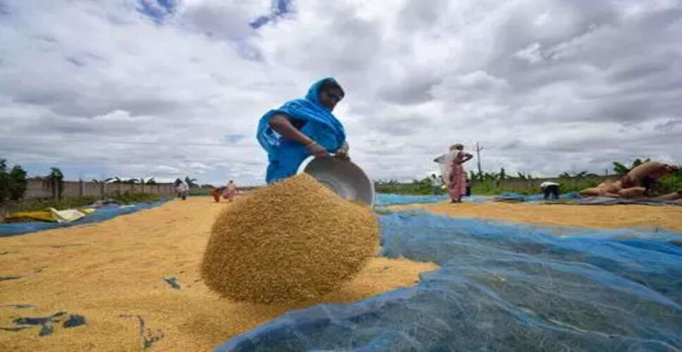 आईसीएआर ने जीन्स-संपादित चावल की किस्मों पर पूर्वाग्रह के आरोपों को खारिज किया