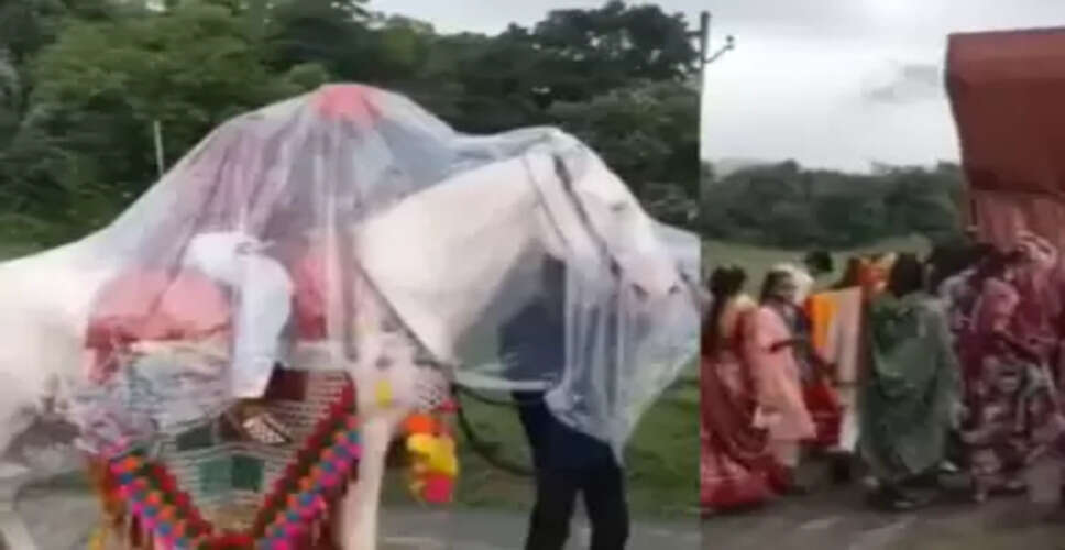 बारिश में भी दूल्हे की शादी: वायरल वीडियो ने किया सबको हंसने पर मजबूर