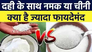 दही के साथ मिलाने के फायदेमंद विकल्प: जानें क्या है सही संयोजन