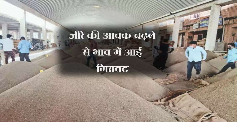 इंदौर सियागंज बाजार में जीरे की कीमतों में स्थिरता, चीन की मांग सुस्त