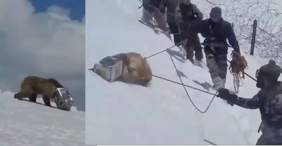 सियाचिन में भारतीय सेना ने बचाया भालू का जीवन, जानें पूरी कहानी