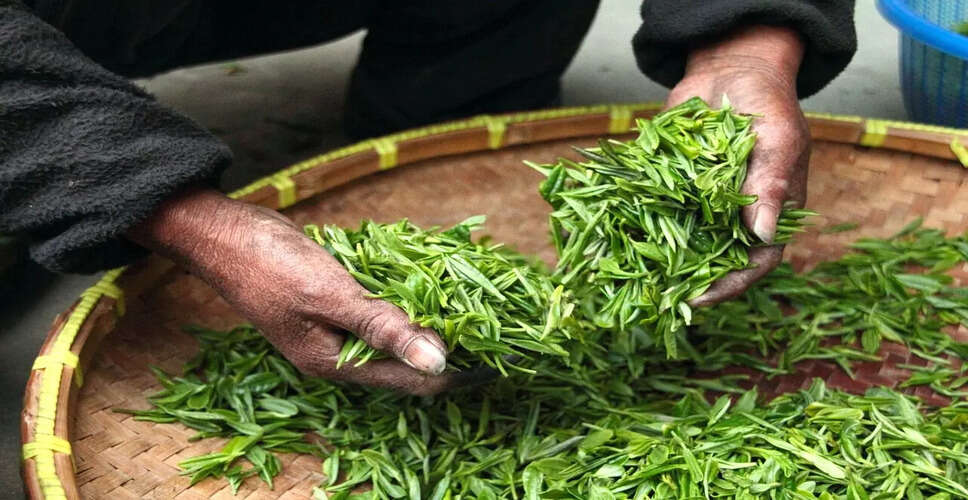 भारत के चाय निर्यात पर नए यूरोपीय संघ के नियमों का प्रभाव