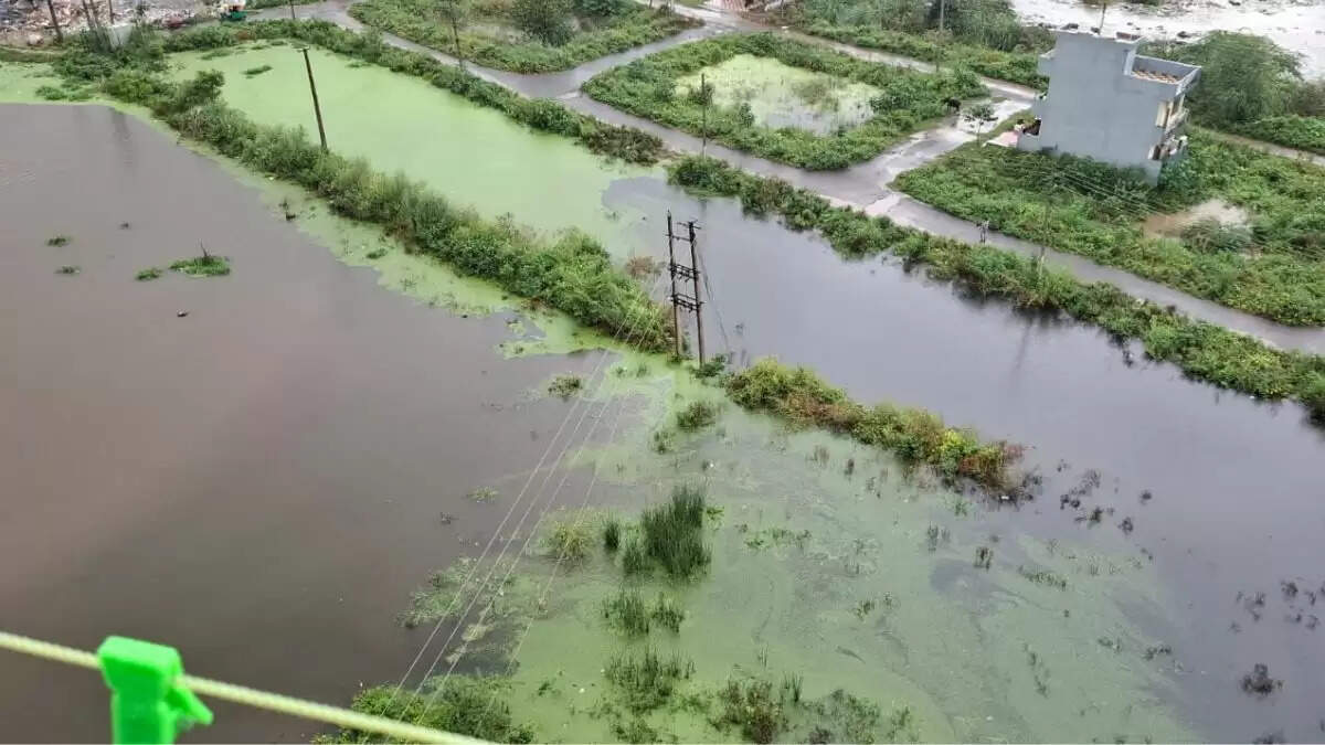 दिल्ली-एनसीआर में बारिश का कहर: यमुना का जलस्तर बढ़ा