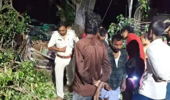 सीतामढ़ी में पीपल के पेड़ के गिरने से पांच लोगों की मौत