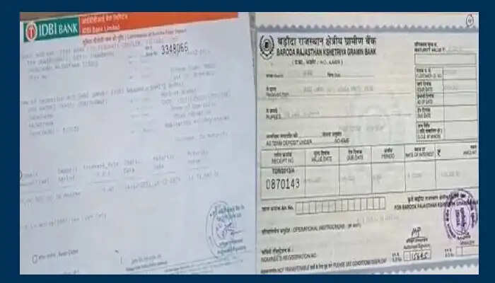 राजस्थान की गोशाला में 28 लखपति गायें, जानें कैसे होती है देखभाल