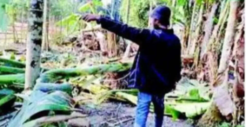 गुवाहाटी के निकट हाथियों के हमले से प्रभावित परिवारों की अपील