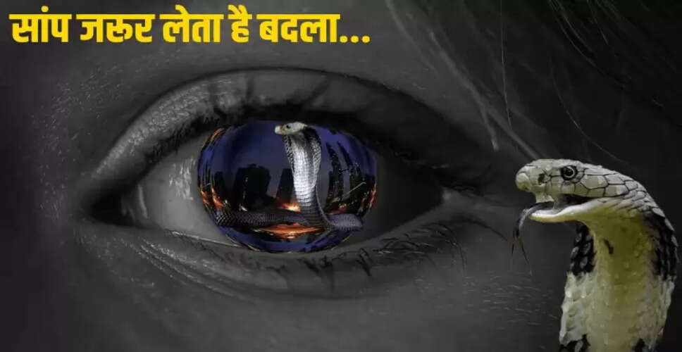 सांपों के बदले की कहानियाँ: क्या सच में लेते हैं बदला?