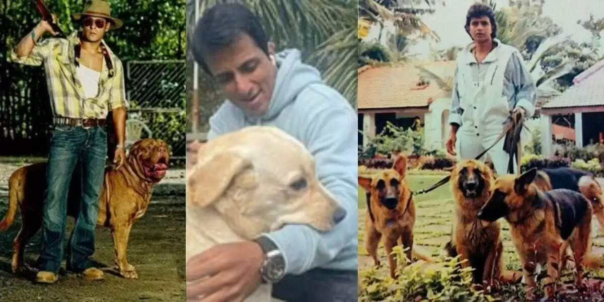 बॉलीवुड के ये तीन सितारे हैं सच्चे डॉग लवर