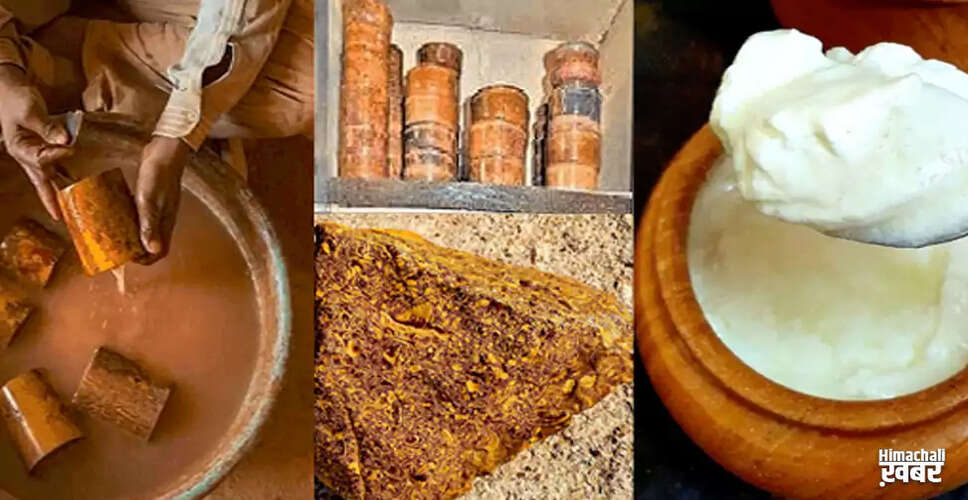 जैसलमेर का जादुई पत्थर: दूध को दही में बदलने की अद्भुत क्षमता