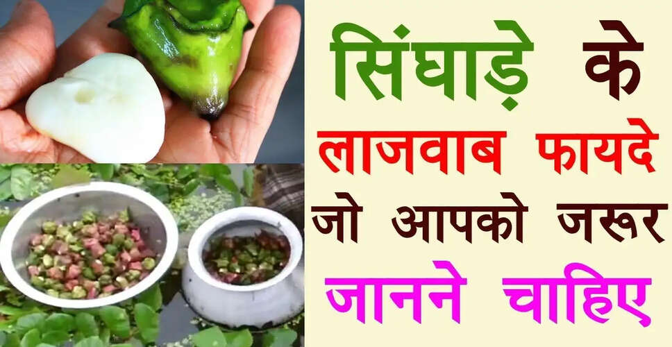 सिघांड़ा: एक पौष्टिक फल और इसके स्वास्थ्य लाभ