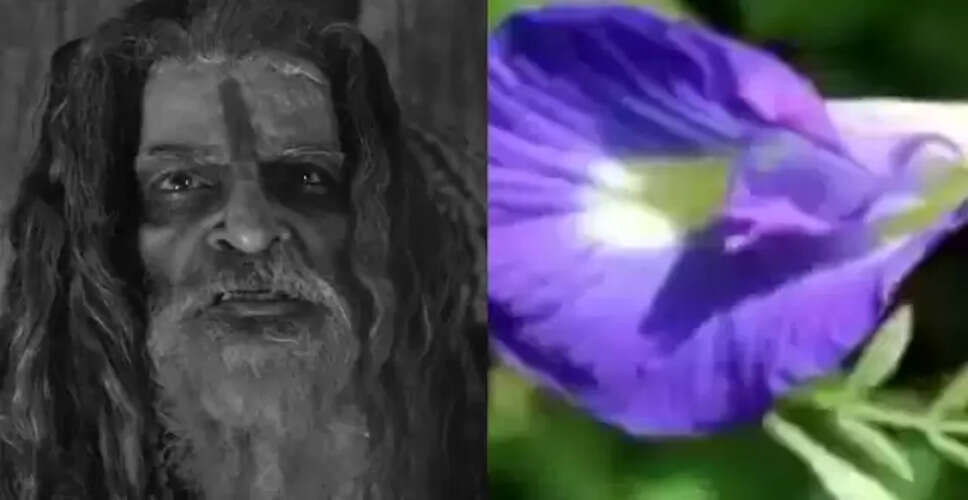 अपराजिता और चिड़चिड़ा: चमत्कारी औषधीय पौधों के अद्भुत लाभ