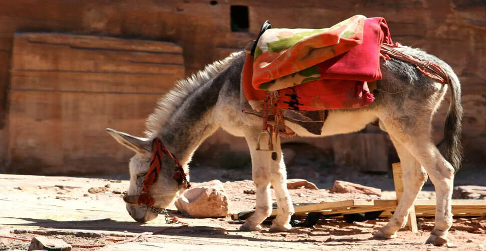 दूसरों की राय से न प्रभावित होने की सीख