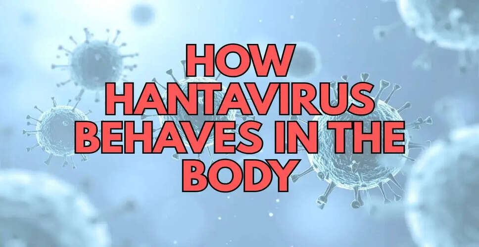 हंटावायरस संक्रमण: स्वास्थ्य विशेषज्ञों की चेतावनी और सावधानियाँ