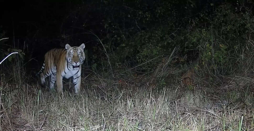 अरुणाचल प्रदेश में बाघ की वापसी: संरक्षण की नई उपलब्धि
