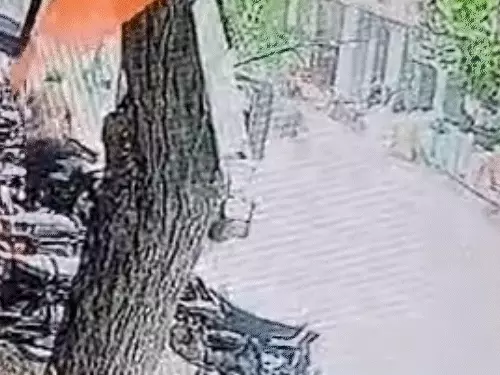 राजस्थान में सड़क हादसे ने मचाई अफरा-तफरी, 45 सवारियों की जान बची