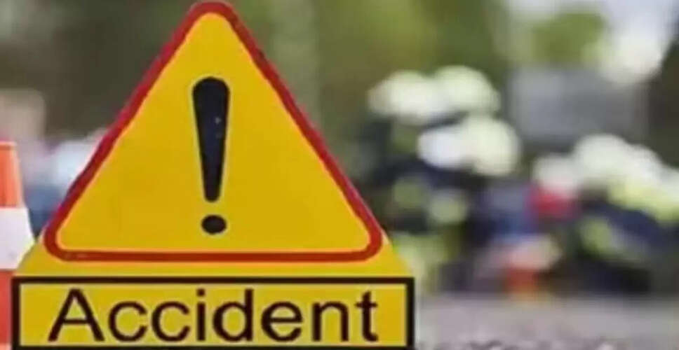 आंध्र प्रदेश में पर्यटक बस के पलटने से 19 लोग घायल