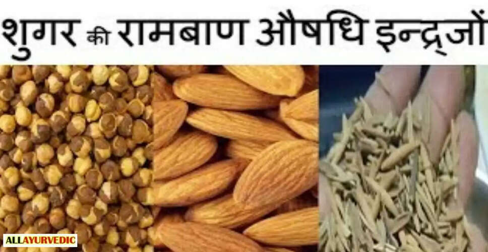 शुगर के लिए अद्भुत औषधि: इन्द्रजौ का उपयोग और लाभ