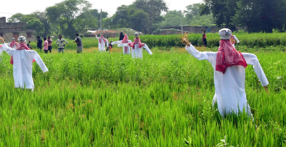 बिहार में महा-अभियान से मिली 44 लाख से अधिक आवेदन, जमाबंदी सुधार में सबसे ज्यादा रुचि