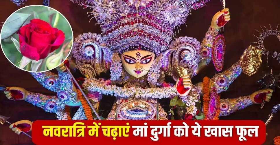 नवरात्रि 2025: मां दुर्गा को प्रसन्न करने वाले फूलों की सूची