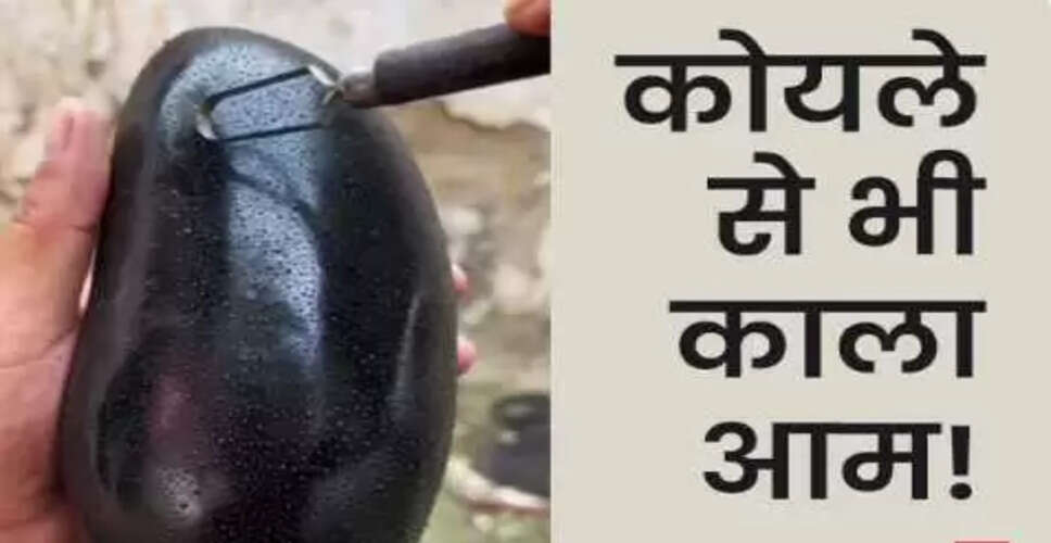 गर्मी में काले आम का अनोखा स्वाद: जानें इसके बारे में